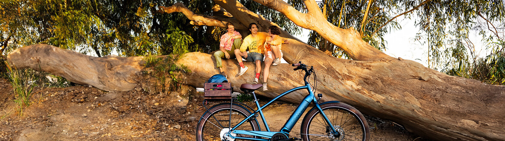 Электровелосипед Electra Townie Path GO! 10D Step Thru Aqua Metallic