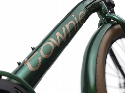 Электровелосипед Electra Townie GO! 7D EQ Step Over Evergreen Metallic