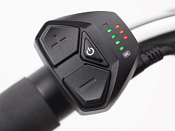 Электровелосипед Electra Townie GO! 7D EQ Step Thru Guava