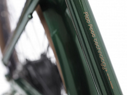 Электровелосипед Electra Townie GO! 7D EQ Step Over Evergreen Metallic