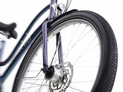 Велосипед Townie Path 9D EQ Step Thru Aurora Metallic